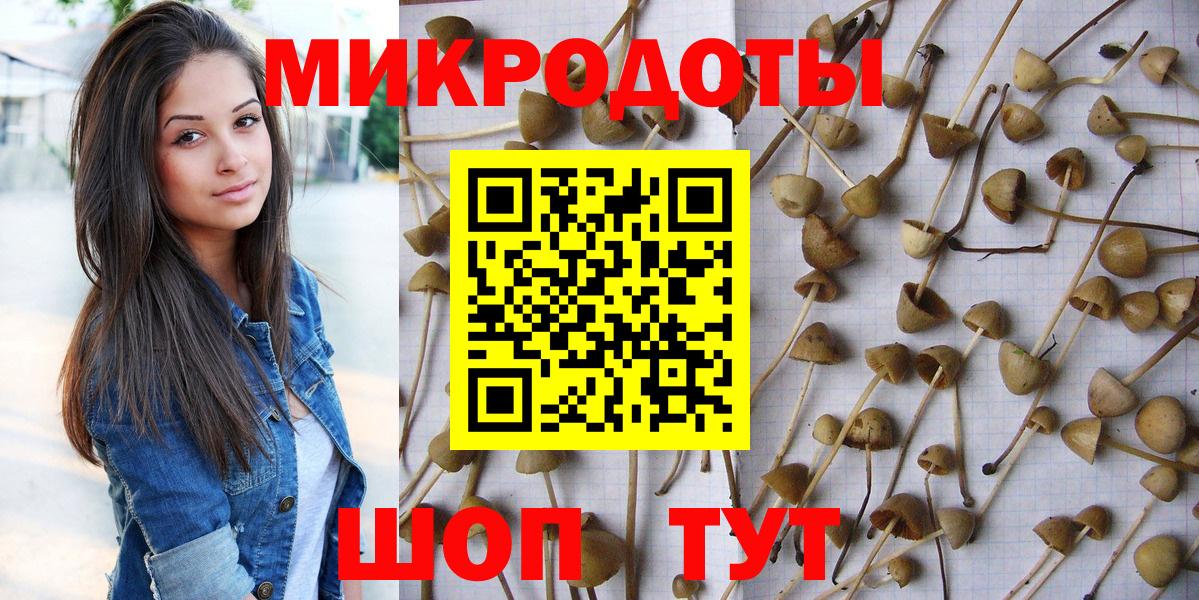 Псилоцибиновые грибы Cubensis Новочеркасск