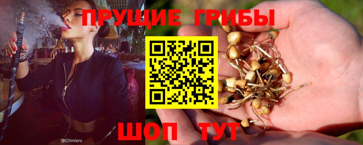 Новочеркасск  Псилоцибиновые грибы ЛСД  даркнет сайт  Вход с VPN 